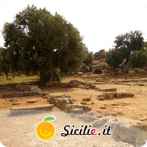 Agrigento - Santuario delle Divinità Ctonie