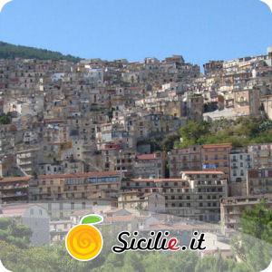 Cammarata