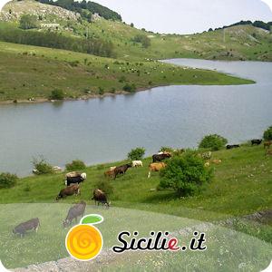Lago Trearie
