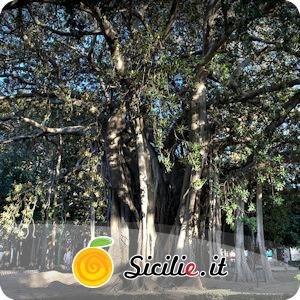 Palermo - Giardino Garibaldi