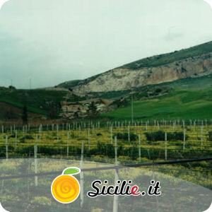 Roccamena