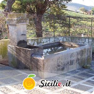 Vita - Fontana Pisano
