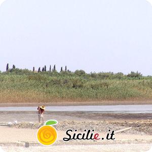 Noto - Salina di Vendicari.jpg