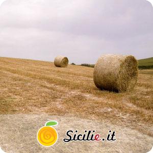 San Michele di Ganzaria.jpg