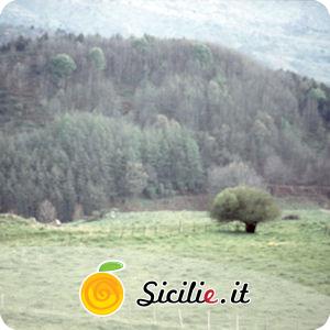 Santa Domenica Vittoria.jpg