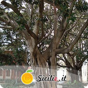 Siracusa - Passeggio Aretusa.jpg